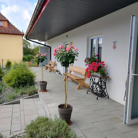 Pokoje Pod Grusza -Osobne Wejscia Kudowa-Zdrój Esterno foto