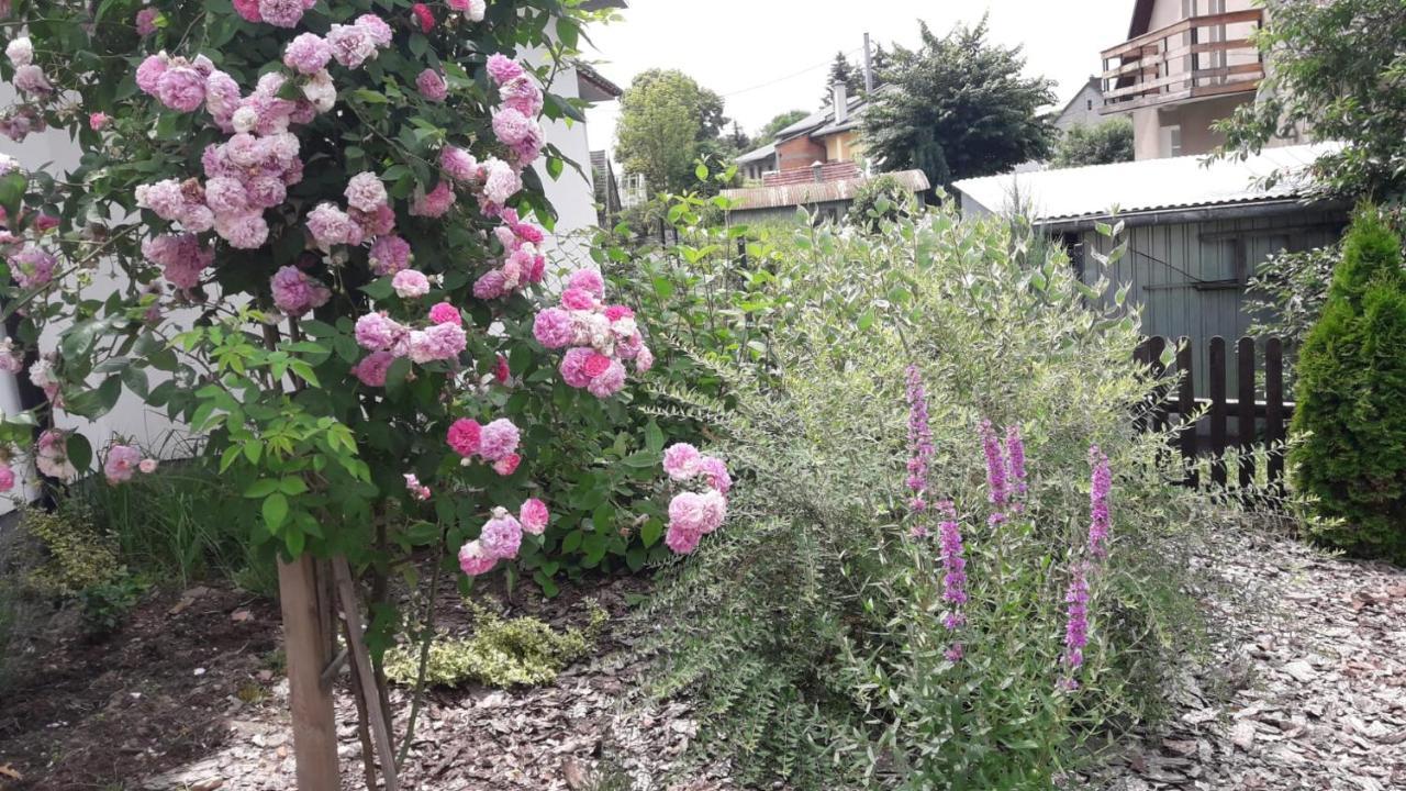 Pokoje Pod Grusza -Osobne Wejscia Kudowa-Zdrój Esterno foto
