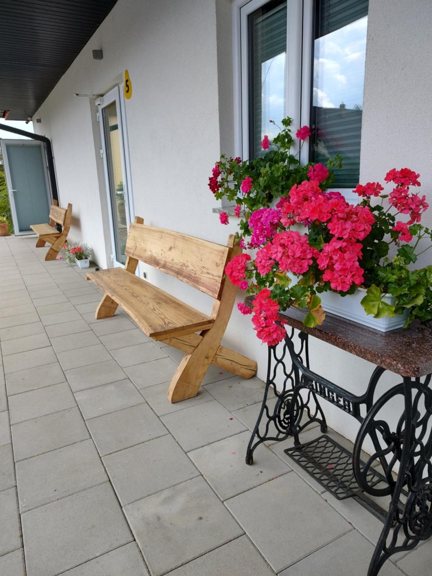 Pokoje Pod Grusza -Osobne Wejscia Kudowa-Zdrój Esterno foto