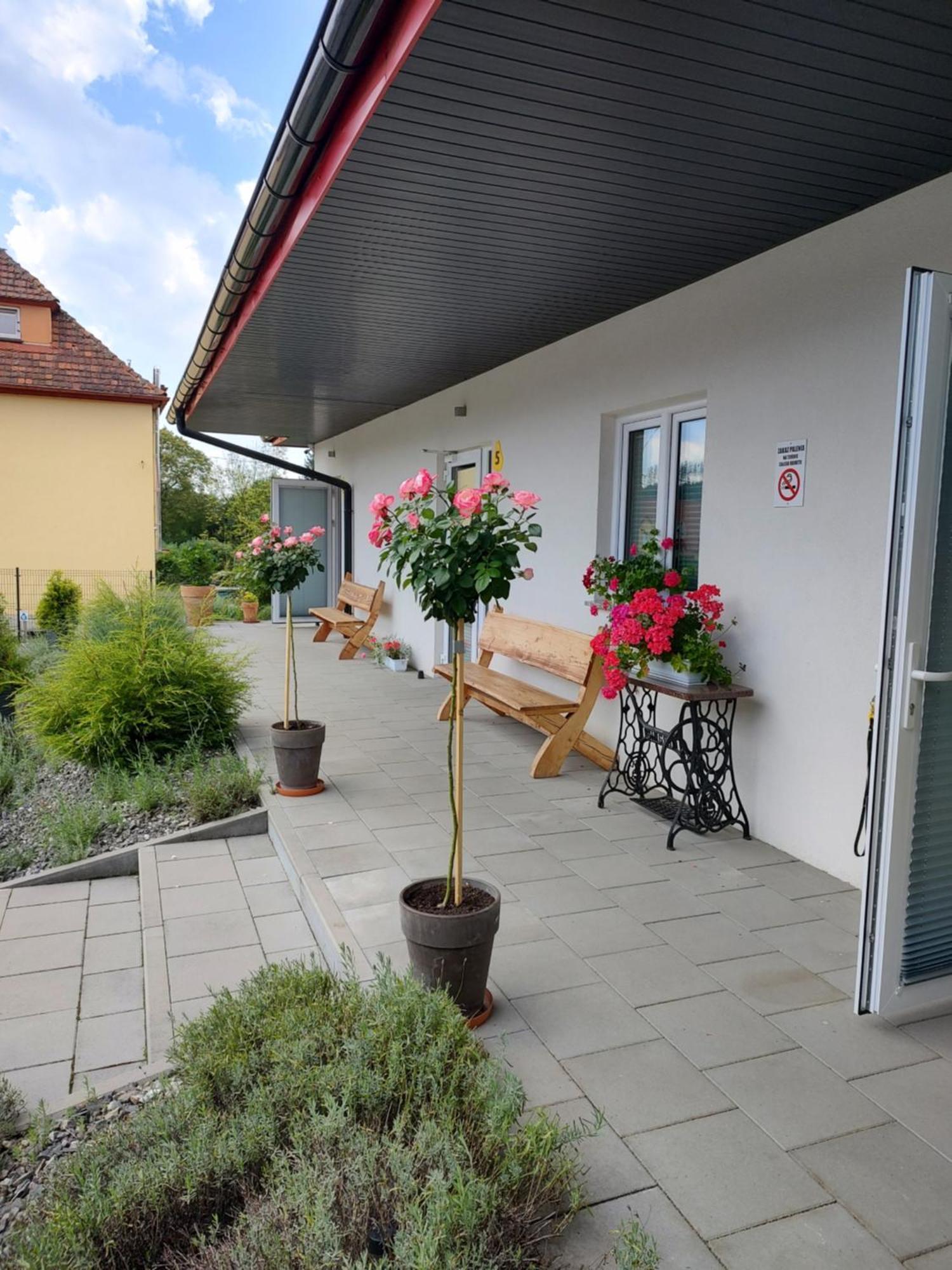 Pokoje Pod Grusza -Osobne Wejscia Kudowa-Zdrój Esterno foto